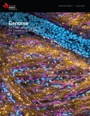Patterns of genome size evolution versus fraction of repetitive elements in statu nascendi species: the case of the willistoni subgroup of Drosophila (Diptera, Drosophilidae)