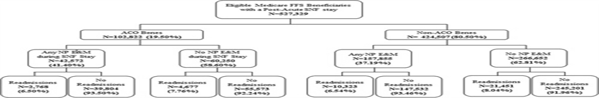 The Impact of Nurse Practitioner Care and Accountable Care Organization Assignment on Skilled Nursing Services and Hospital Readmissions