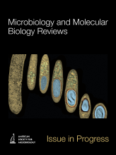 Infection Defects of RNA and DNA Viruses Induced by Antiviral RNA Interference