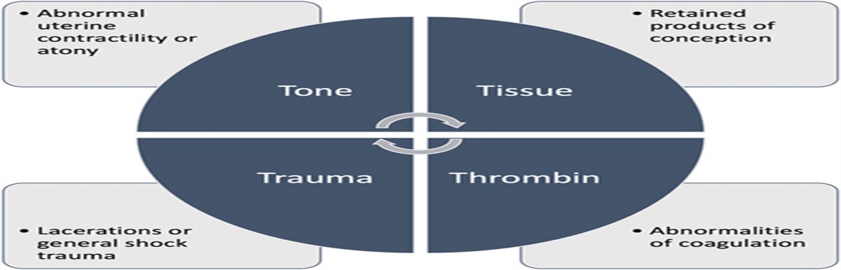 Evaluation During Postpartum Hemorrhage