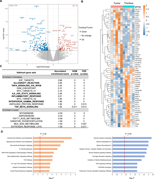 Integrated analysis of single-cell and bulk RNA sequencing data reveals an immunostimulatory microenvironment in tumor thrombus of osteosarcoma