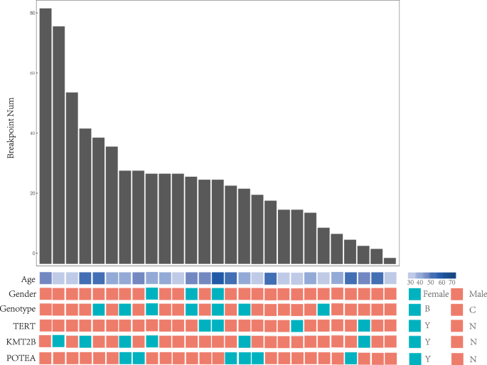 Characteristics of Hepatitis B virus integration and mechanism of inducing chromosome translocation