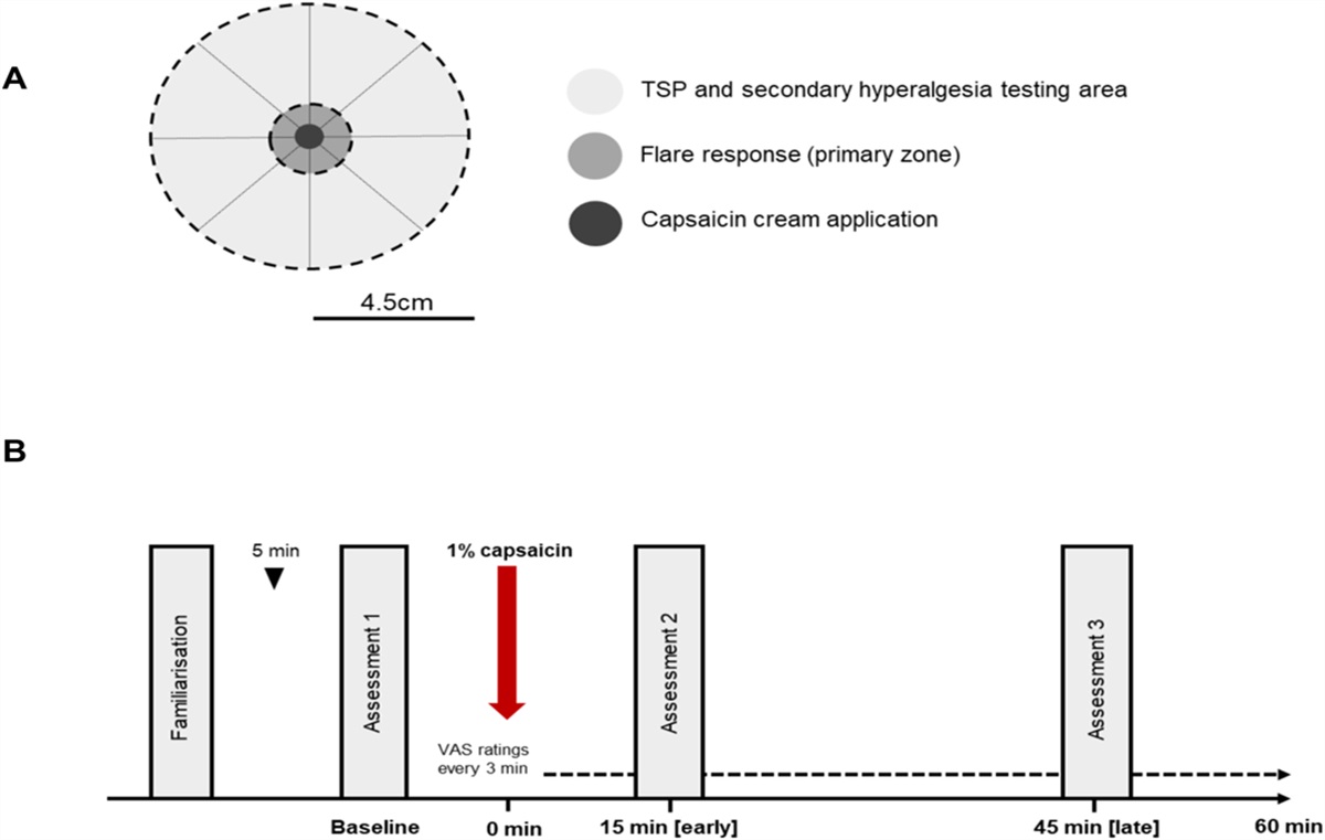 Responders and nonresponders to topical capsaicin display distinct temporal summation of pain profiles