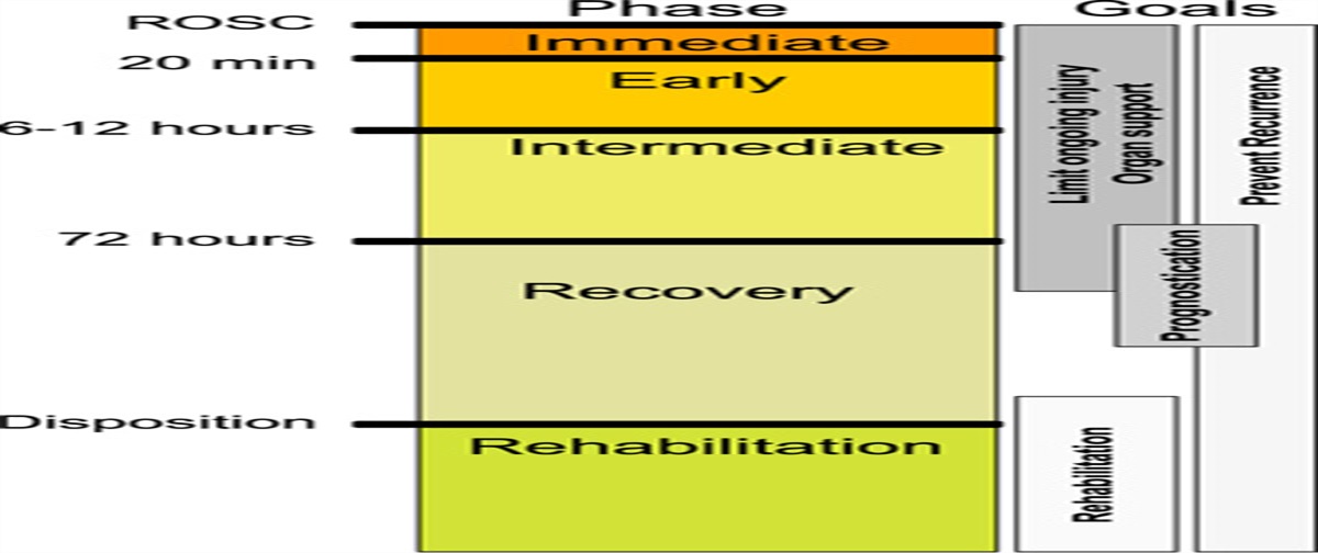 Post-Cardiac Arrest Syndrome