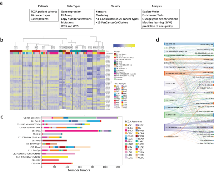 Tumor collagens predict genetic features and patient outcomes