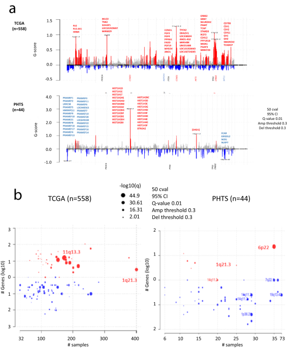 Integrating somatic CNV and gene expression in breast cancers from women with PTEN hamartoma tumor syndrome