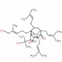 In silico study of the toxicity of hyperforin and its metabolites