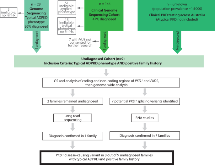 Atypical splicing variants in PKD1 explain most undiagnosed typical familial ADPKD
