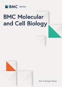 Knockdown of ELF4 aggravates renal injury in ischemia/reperfusion mice through promotion of pyroptosis, inflammation, oxidative stress, and endoplasmic reticulum stress
