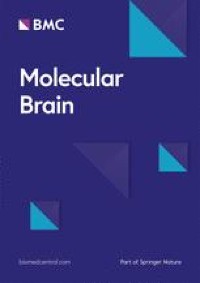 Specific vulnerability of iPSC-derived motor neurons with TDP-43 gene mutation to oxidative stress
