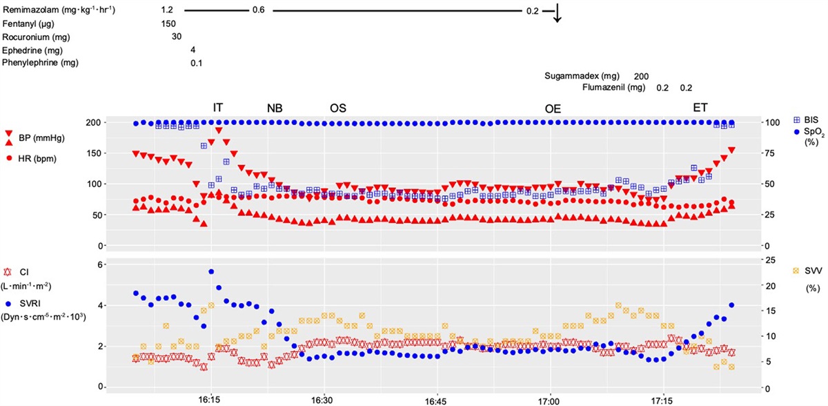 General Anesthesia With Remimazolam and Peripheral Nerve Blocks Is Useful for Femoral Surgery in Patients With Severe Aortic Stenosis: A Case Report