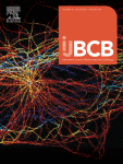 Using Single Molecule Imaging to Explore Intracellular Heterogeneity