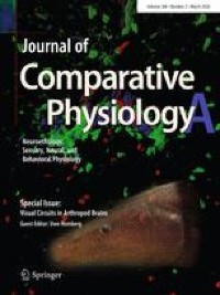 Temporal effects of sugar intake on fly local search and honey bee dance behaviour