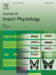 Uncovering the Role of Juvenile Hormone in Ovary Development and Egg Laying in Bumble bees