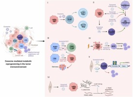 Exosome-mediated metabolic reprogramming: implications in esophageal carcinoma progression and tumor microenvironment remodeling