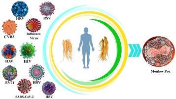 Letter to Editor: Antiviral activities of ginseng and its potential benefit against monkeypox virus: A mini review