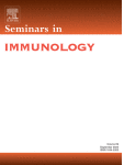 Thymus aging and immune reconstitution, progresses and challenges