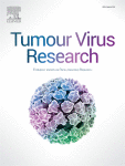 Identification and characterisation of novel potential phospho-acceptor sites in HPV-16 E7