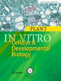 Development of a Mesophyll Protoplast-Based System for Gene Editing of Papaya