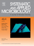 Two novel symbiovars of Bradyrhizobium yuanmingense, americaense and caribense, the symbiovar tropici of Bradyrhizobium pachyrhizi and the symbiovar cajani of Bradyrhizobium cajani are microsymbionts of the legume Cajanus cajan in Dominican Republic