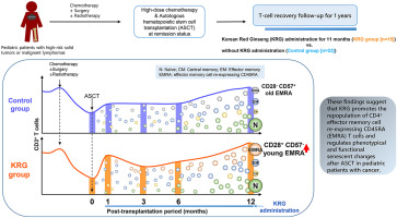 Effects of Korean red ginseng on T-cell repopulation after autologous hematopoietic stem cell transplantation in childhood cancer patients