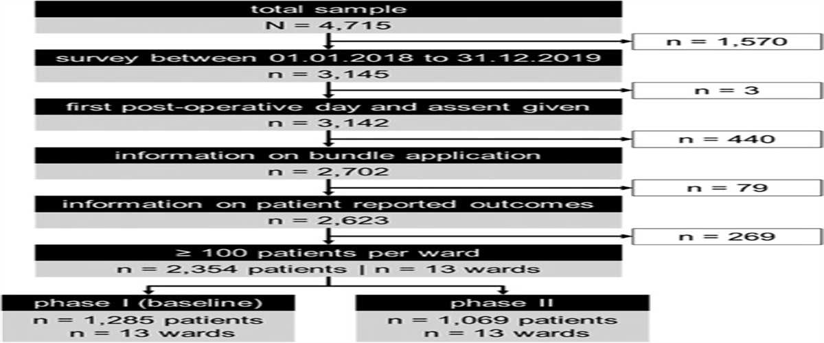 The Perioperative Pain Management Bundle is Feasible: Findings From the PAIN OUT Registry