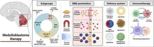 Medulloblastoma targeted therapy: From signaling pathways heterogeneity and current treatment dilemma to the recent advances in development of therapeutic strategies