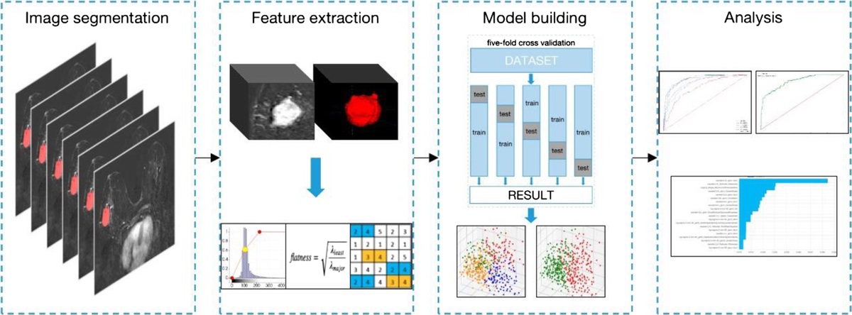 Predicting Breast Cancer Subtypes Using Magnetic Resonance Imaging Based Radiomics With Automatic Segmentation