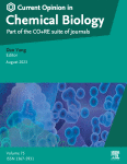 Recent chemical synthesis of plant polysaccharides