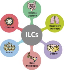 Unravelling the Immunobiology of Innate Lymphoid Cells (ILCs): Implications in Health and Disease