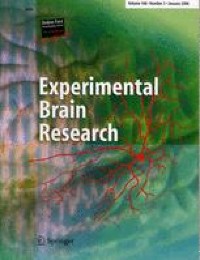 The effect of type 2 diabetes and diabetic peripheral neuropathy on predictive grip force control