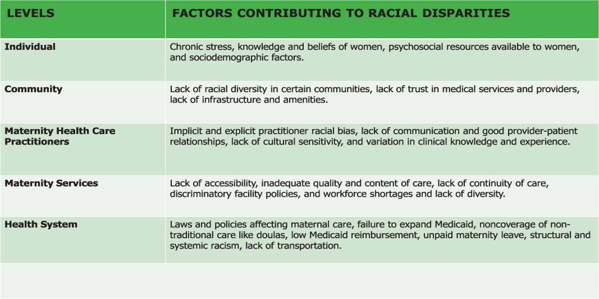 Contribution of Health Care Practitioner and Maternity Services Factors to Racial Disparities in Alabama: A Qualitative Study