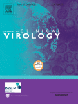Detection of early phase human T-cell leukemia virus type 1 and 2 infection with an improved confirmatory test