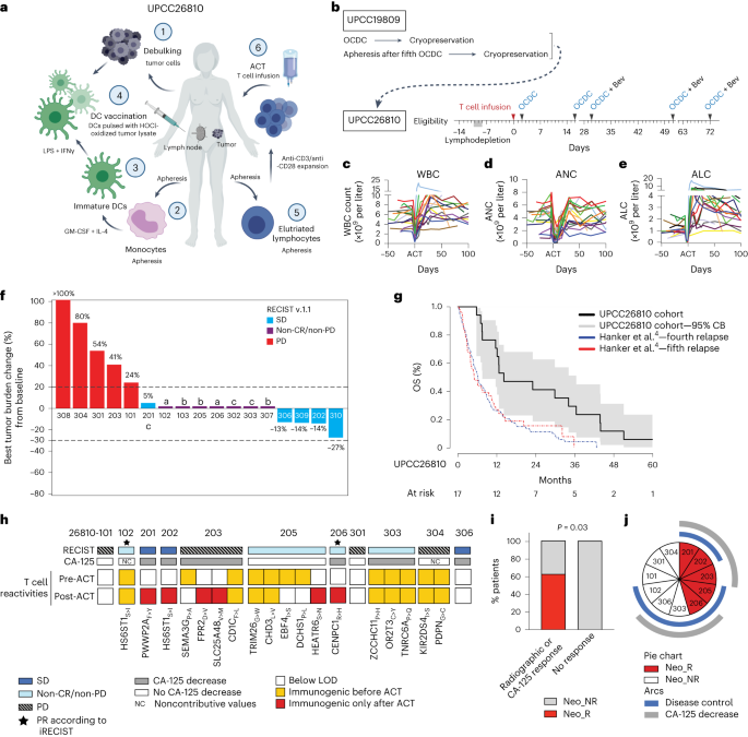 A phase 1 trial of adoptive transfer of vaccine-primed autologous circulating T cells in ovarian cancer