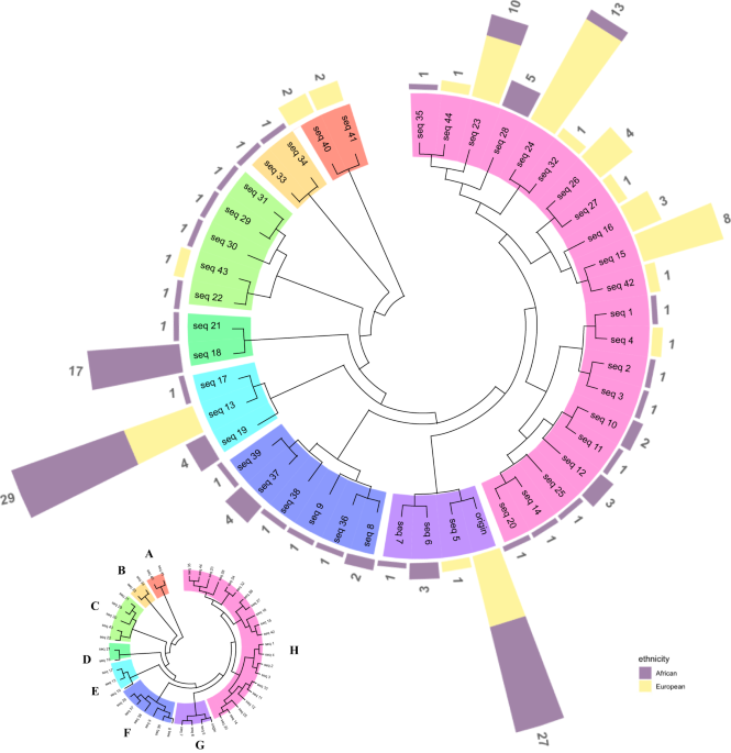 ANO7 African-ancestral genomic diversity and advanced prostate cancer