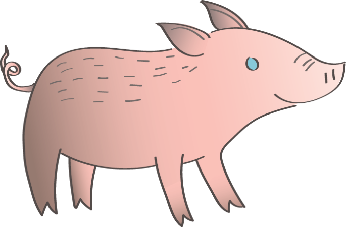 The immune response to pig-to-human kidney xenografts
