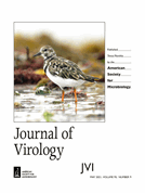 Chimeric virus-like particles of human norovirus constructed by structure-guided epitope grafting elicit cross-reactive immunity against both GI.1 and GII.4 genotypes