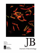Expression of RcrB confers resistance to hypochlorous acid in uropathogenic Escherichia coli