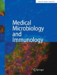 Echinacoside, a promising sortase A inhibitor, combined with vancomycin against murine models of MRSA-induced pneumonia