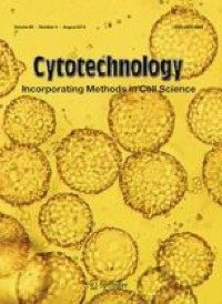 PRPF19 functions in DNA damage repair and gemcitabine sensitivity via regulating DDB1 in bladder cancer cells
