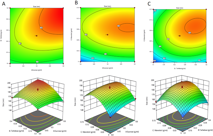Lyophilization process optimization and molecular dynamics simulation of mRNA-LNPs for SARS-CoV-2 vaccine