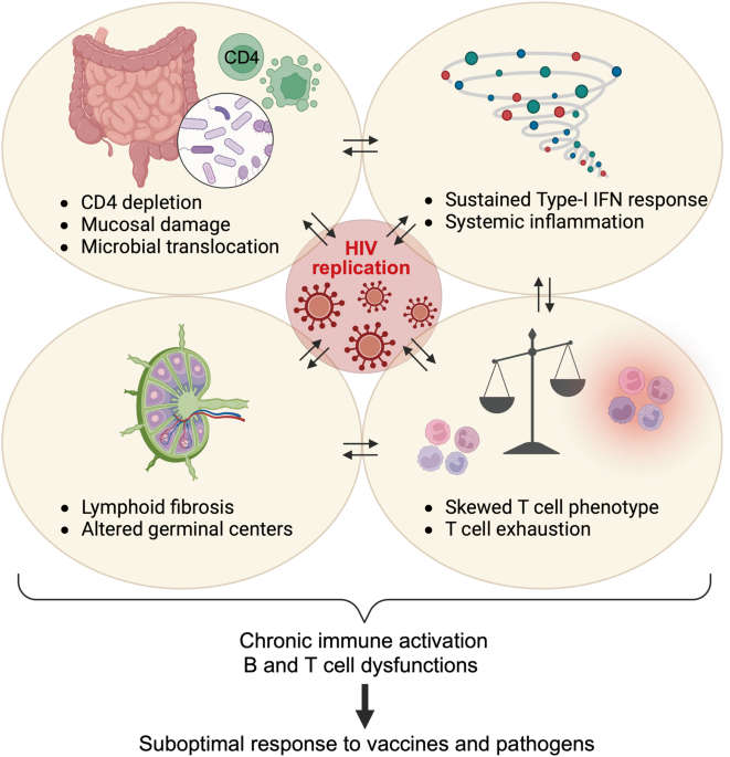 The immune response to SARS-CoV-2 in people with HIV