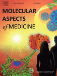 Molecular aspects of optic nerve autophagy in glaucoma