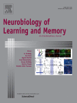 Synergistic photoactivation of VTA-catecholaminergic and BLA-glutamatergic projections induces long-term potentiation in the insular cortex