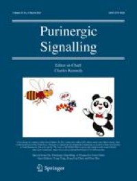 Electroacupuncture may alleviate diabetic neuropathic pain by inhibiting the microglia P2X4R and neuroinflammation