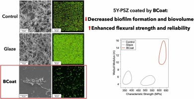 Boron-containing coating yields enhanced antimicrobial and mechanical effects on translucent zirconia