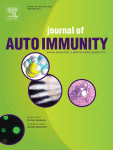 Single-cell transcriptomic profiling reveals a pathogenic role of cytotoxic CD4+ T cells in giant cell arteritis