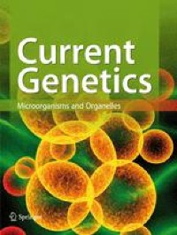 Expression of human BRCA2 in Saccharomyces cerevisiae complements the loss of RAD52 in double-strand break repair