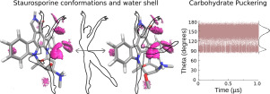 Theoretical models of staurosporine and analogs uncover detailed structural information in biological solution