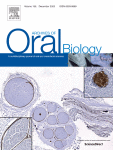 CD20 + cells blockage by rituximab delays wound healing in oral traumatic ulcers in rats